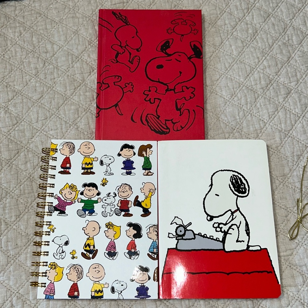 Bundle of Snoopy & Peanuts Gang journals NEW